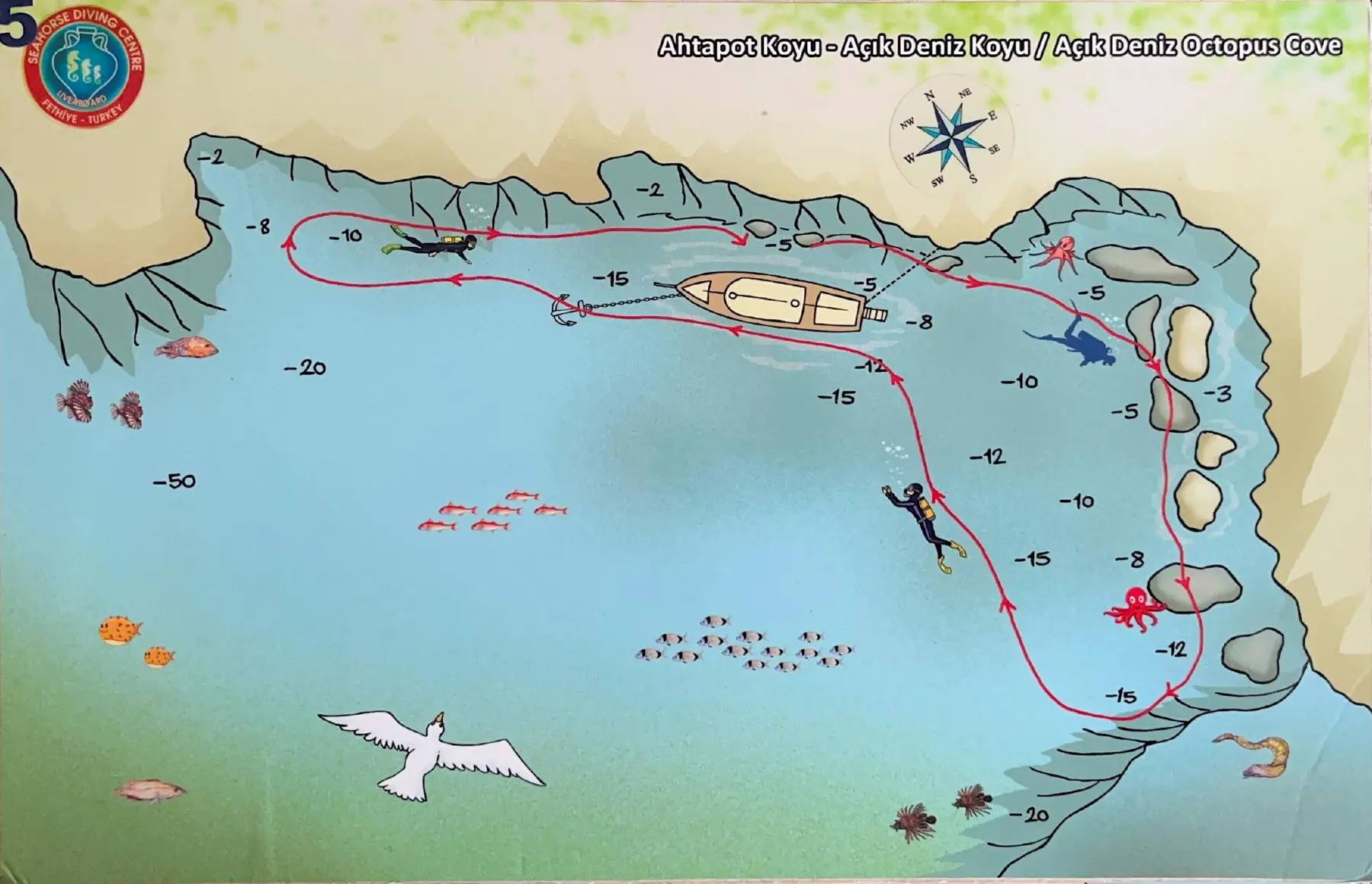 Octopus Bay – Open Sea Bay Dive Profile