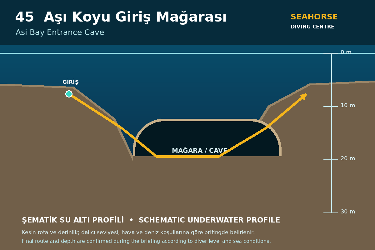 Aşı Koyu Giriş Mağarası Dive Profile